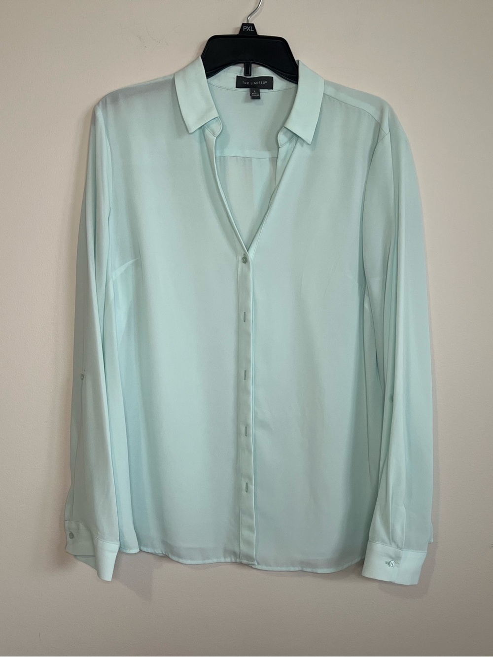 The Limited Mint Green Long-Sleeve Button-Up Shirt